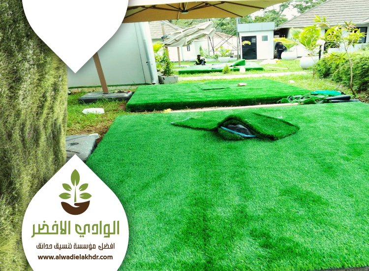 تركيب عشب بالخزامي