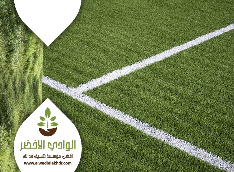 شركة تجهيز ملاعب جنوب الرياض