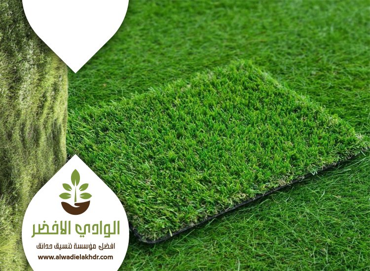 تركيب نجيلة في الرياض