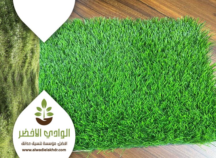 تركيب نجيلة في شمال الرياض