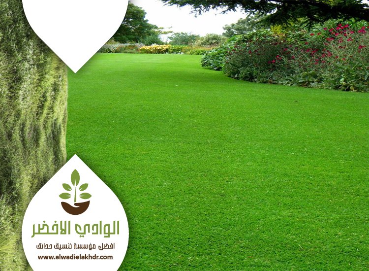 تركيب عشب جنوب الرياض