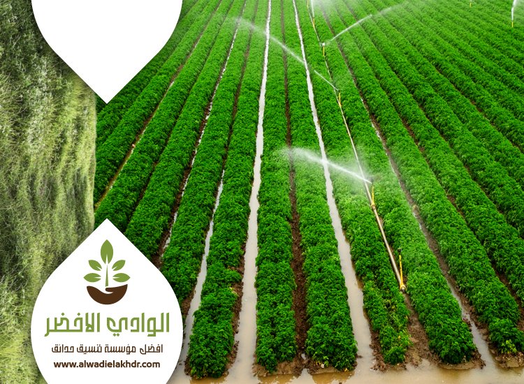 تركيب شبكات الري شمال الرياض