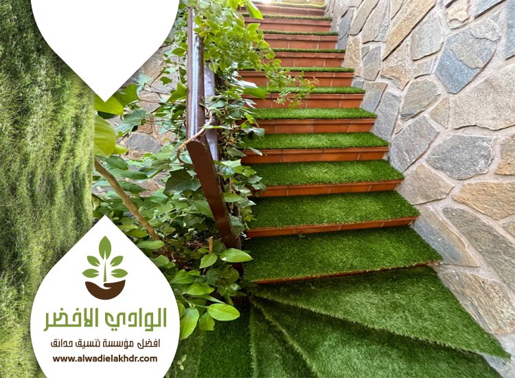 تركيب عشب بحي الصفا