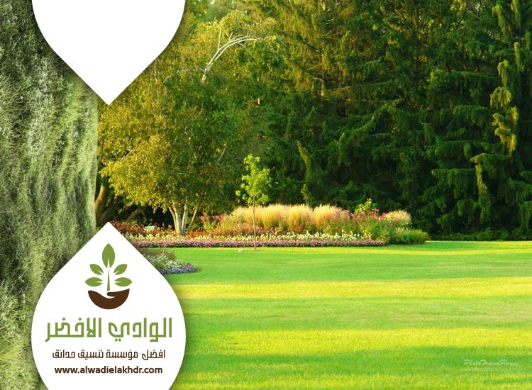 شركة تصميم حدائق بالرياض
