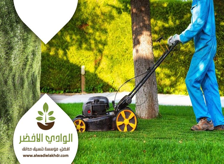 صيانة حدائق المنازل بالرياض