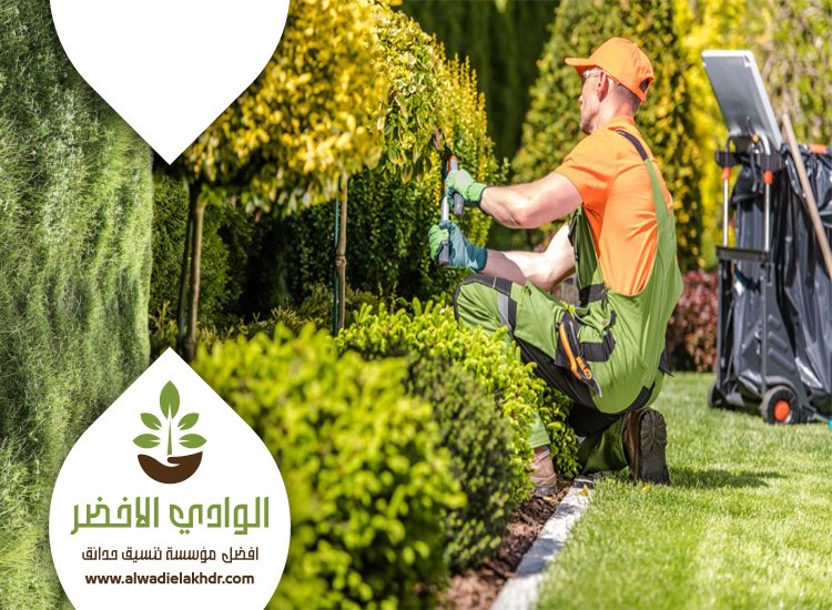 صيانة حدائق المنازل بالرياض
