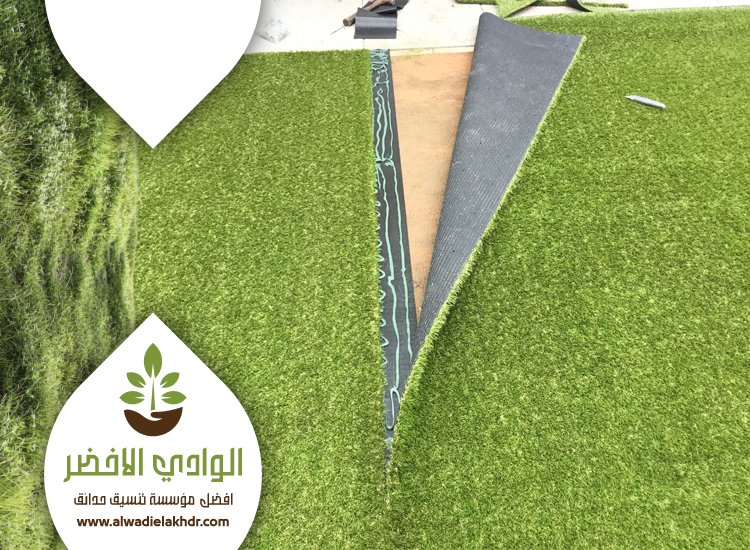 تركيب عشب بحي النخيل