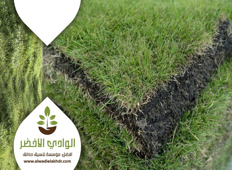 تركيب ثيل بالرياض