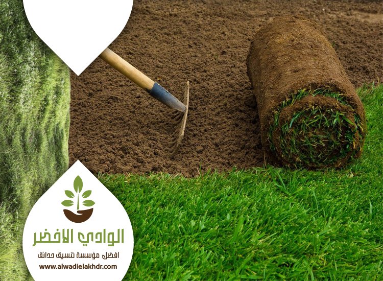 تركيب عشب بحي الياسمين