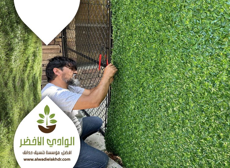 تركيب عشب بحي الواحة