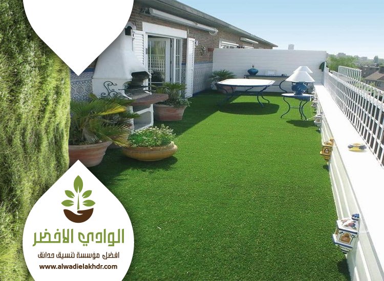 تركيب عشب بحي الرحمانية