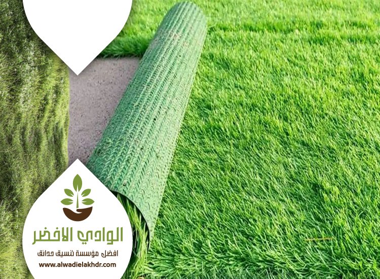 تركيب نجيلة في الرياض