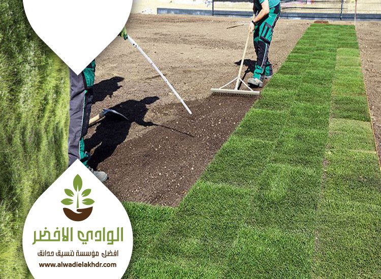 تركيب ثيل طبيعي بالرياض