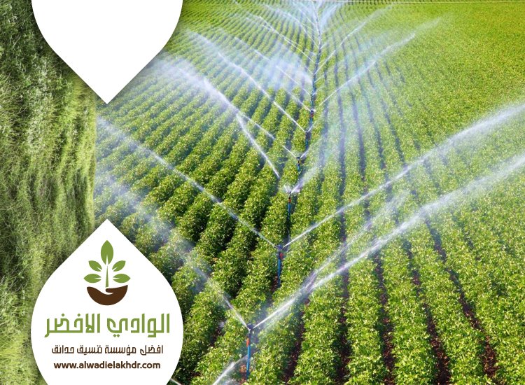 تصميم شبكات الري بالرياض