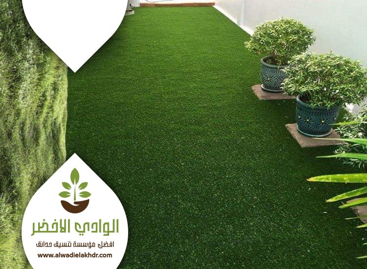 تركيب عشب بحي القيروان