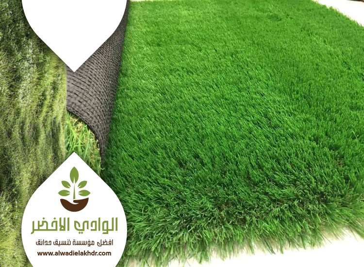 تركيب نجيلة