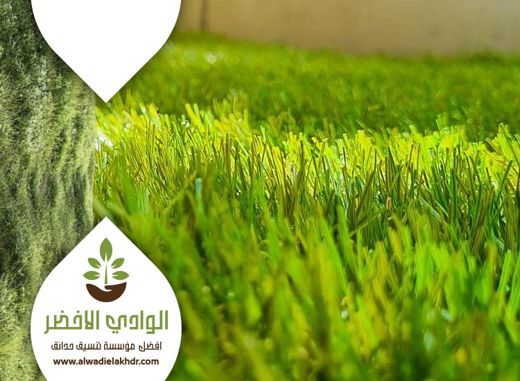 تركيب نجيلة في شمال الرياض