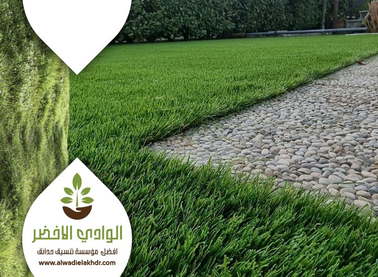 تركيب نجيلة في الرياض