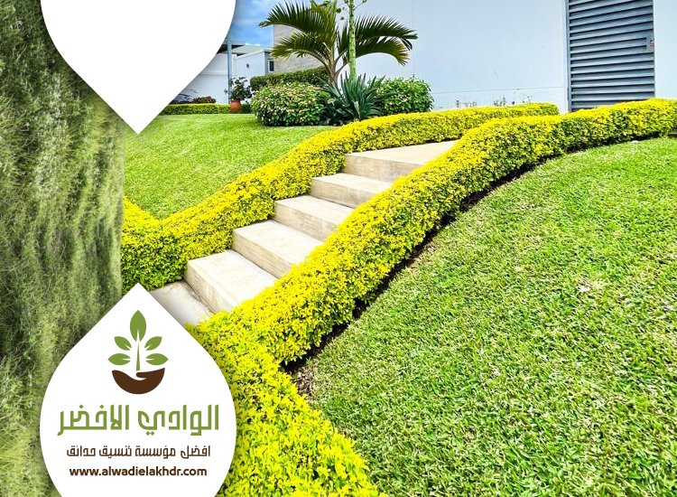شركة تصميم حدائق بالرياض