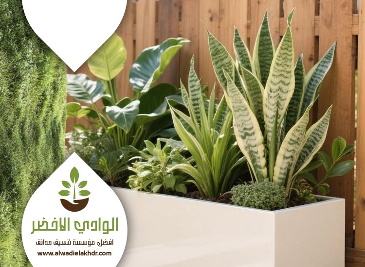 تركيب أحواض زرع خشبي بالرياض