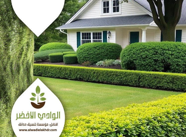 شركة تصميم حدائق بالرياض