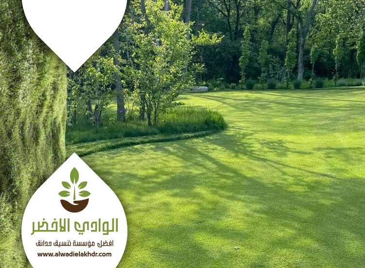 تركيب ثيل طبيعي بالرياض