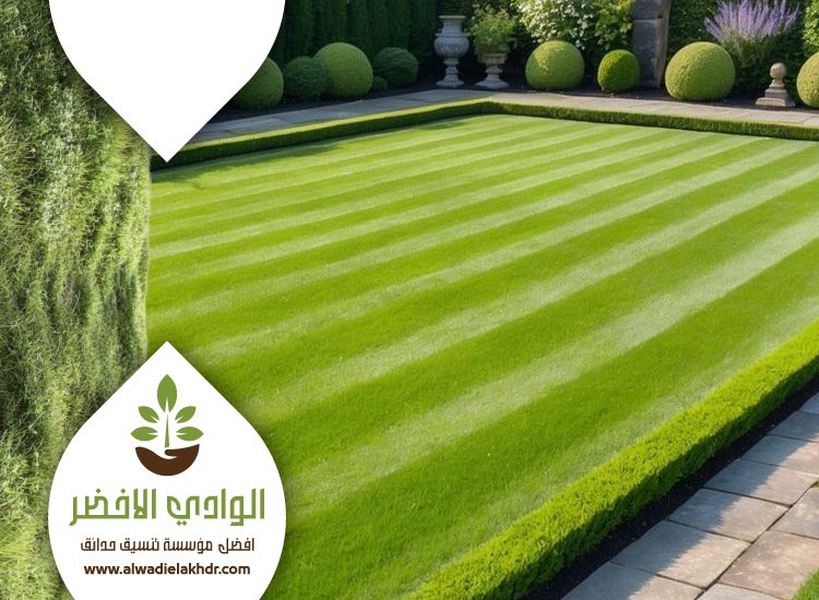 تركيب ثيل طبيعي بالرياض