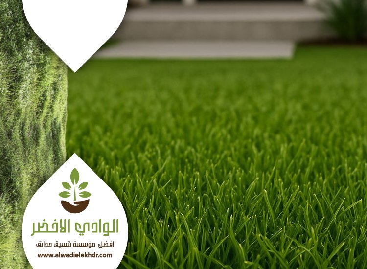 تركيب ثيل بالرياض