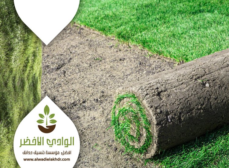 تركيب ثيل طبيعي بالرياض