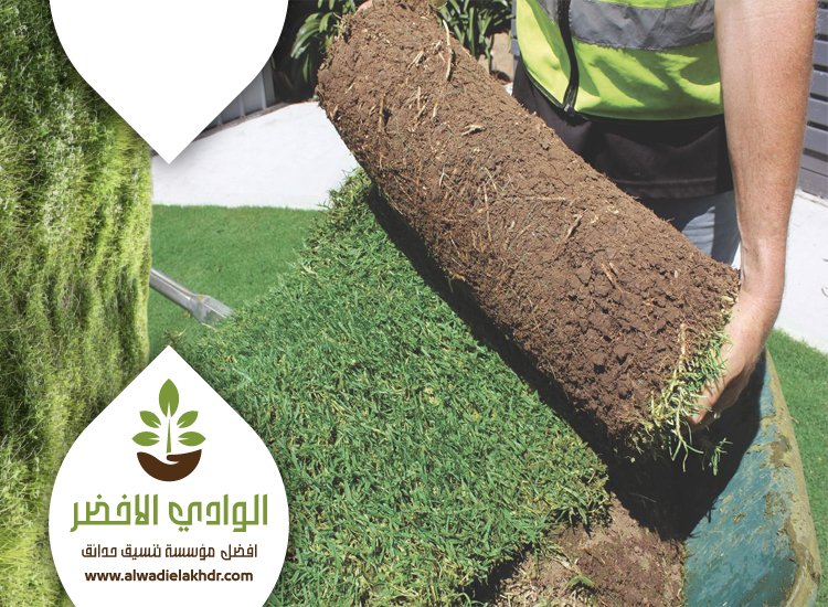 تركيب ثيل طبيعي